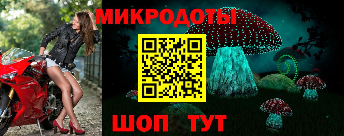 Амурск  Галлюциногенные грибы Psilocybe  Вход с VPN 